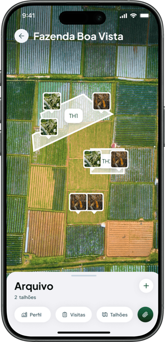 Resultados profissionais prontos para compartilhar